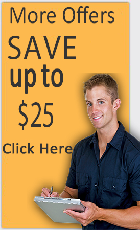 professional plumber